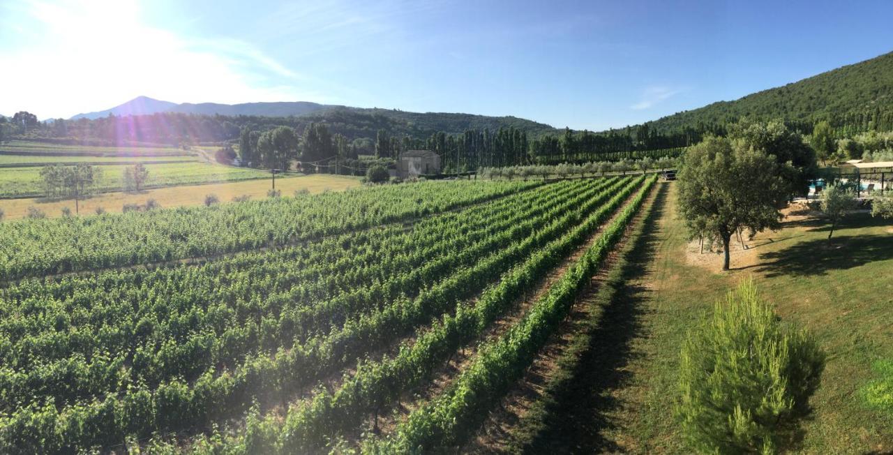 Malaucène Les Gites Du Clos Saint Michel & Spa المظهر الخارجي الصورة