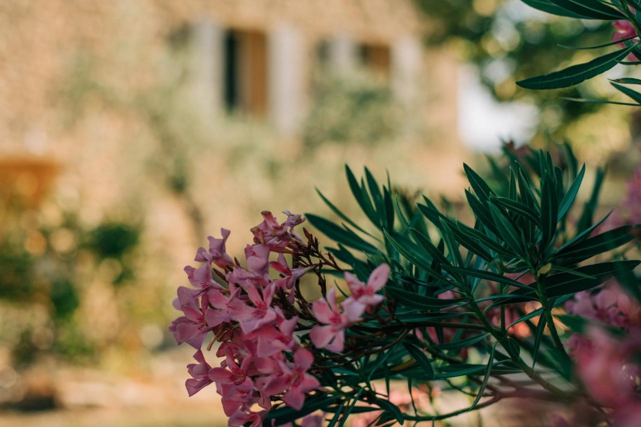 Malaucène Les Gites Du Clos Saint Michel & Spa المظهر الخارجي الصورة